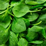 Match Fixing: ಸೈಯದ್ ಮುಷ್ತಾಕ್ ಅಲಿ ಟ್ರೋಫಿಯಲ್ಲಿ ಫಿಕ್ಸಿಂಗ್: 4 ಆಟಗಾರರ ಅಮಾನತು