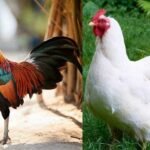 ಕರ್ನಾಟಕ ಕಂಡ ಹಿರಿಯ ಶಾಸಕ, ವಿವಿಧ ಸರ್ಕಾರಗಳ ಹಲವು ಖಾತೆಗಳನ್ನು ನಿಭಾಯಿಸಿದ ಸಚಿವ ಮೇಧಾವಿ ಶಾಮನೂರು ಶಿವಶಂಕರಪ್ಪ ಇವರಿಗೆ ಭಾವಪೂರ್ಣ ಶ್ರದ್ಧಾಂಜಲಿ.