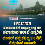WPL 2026: RCB ಗೆ ಆಘಾತ; 2026 ರ ವುಮೆನ್ಸ್ ಪ್ರೀಮಿಯರ್ ಲೀಗ್‌ನಿಂದ ಹಿಂದೆ ಸರಿದ ಎಲ್ಲಿಸ್ ಪೆರ್ರಿ!