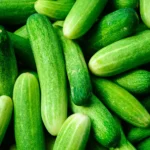 ರಕ್ಷಿತಾ ಶೆಟ್ಟಿಗೆ ಗಿಲ್ಲಿ ಮೇಲೆ ಸೀಕ್ರೆಟ್ ಲವ್? ಗಿಲ್ಲಿಗೆ ಶುರುವಾಗಿದೆ ಭಯ