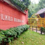 ಫೆ.6ರಂದು ರಿಲೀಸ್ ಆಗಲಿದೆ ಗಿಲ್ಲಿ ನಟ ಅಭಿನಯದ ‘ಸರ್ಕಾರಿ ಶಾಲೆ H8’ ಸಿನಿಮಾ