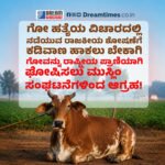 ಕಾಕ್ರೋಚ್ ಜನತಾ ಪಾರ್ಟಿ’ ವಿರುದ್ಧ ಸಿಬಿಐ ತನಿಖೆಗೆ ಕೋರಿ ಸುಪ್ರೀಂ ಕೋರ್ಟ್‌ಗೆ ಅರ್ಜಿ